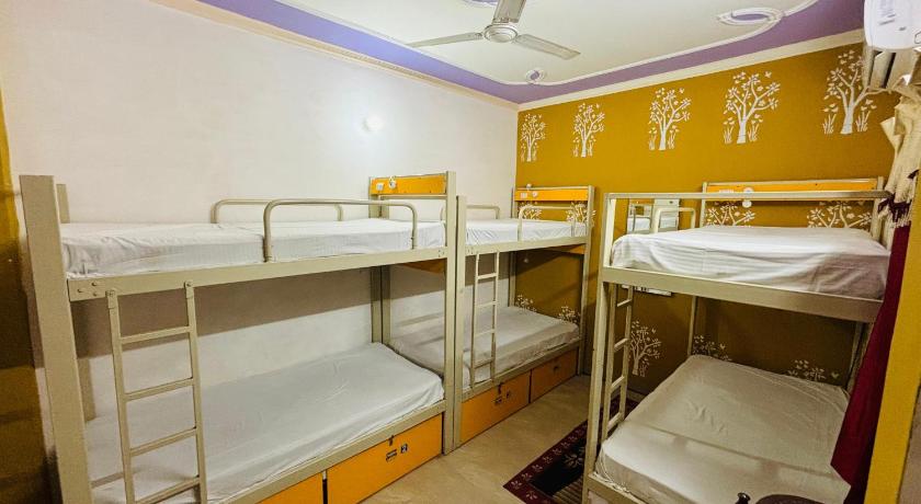 Image of Standard 6 Bed Dormitory 2