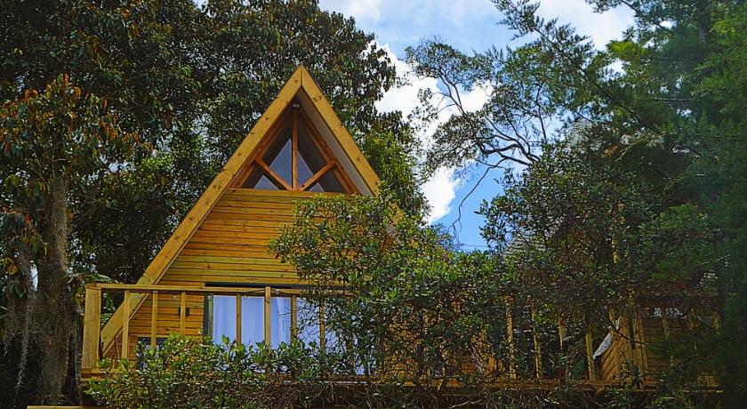 Cabana Madre Selva