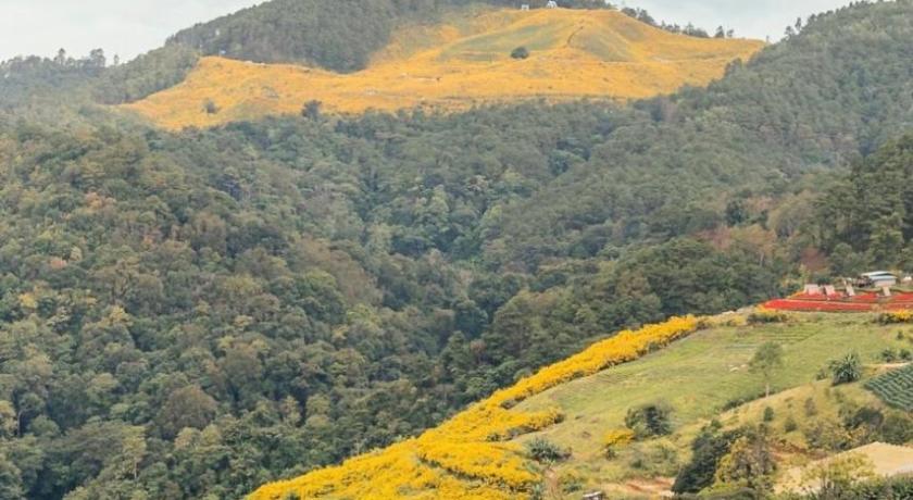 メーホンソン The will glamping&camping ホテル レストラン