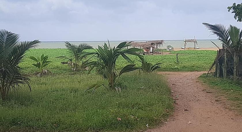 Fionn's Coconut Beach House - image 14