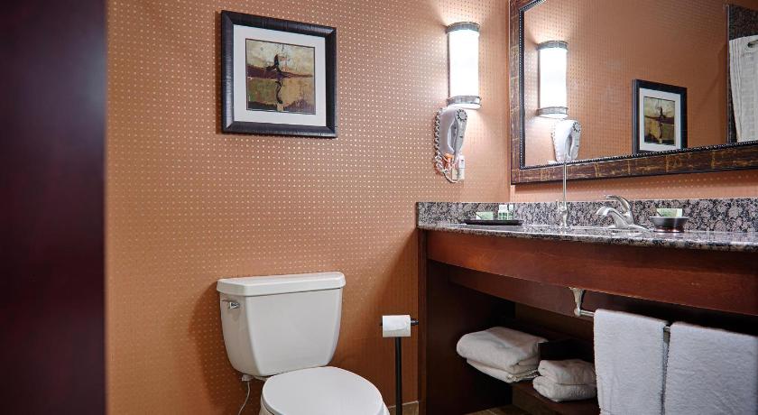 Best Western Premier Kansas City Speedway Inn & Suites - image 14
