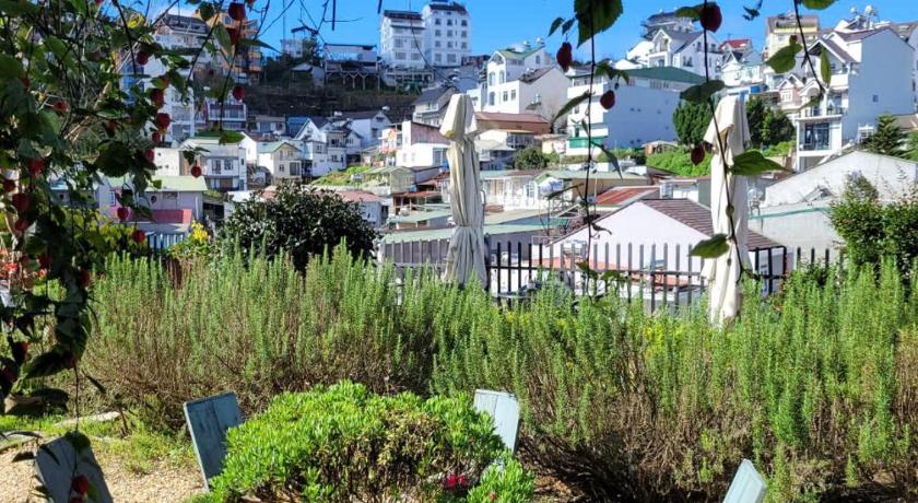 La Nha Homestay Dalat – Dalat