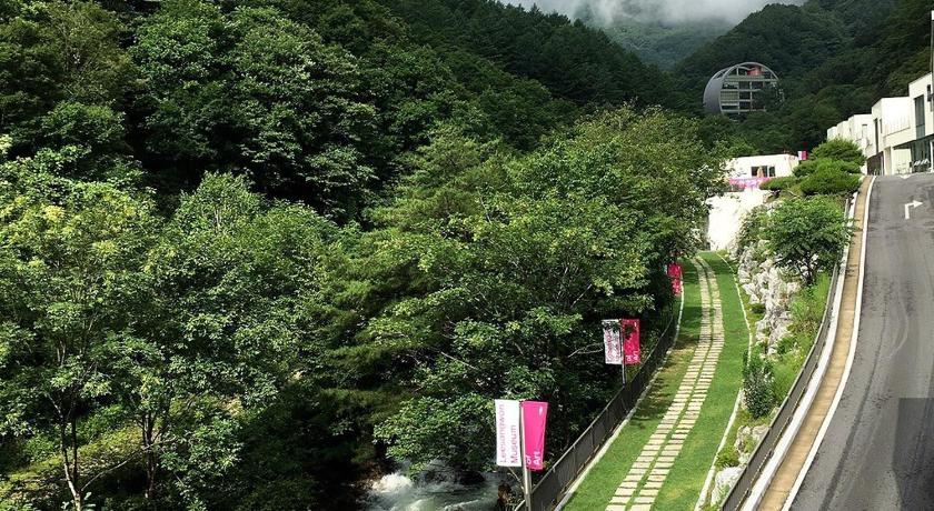 春川 Leesangwon Museum of Art - Museumstay 3つ星 ゲストハウス プール