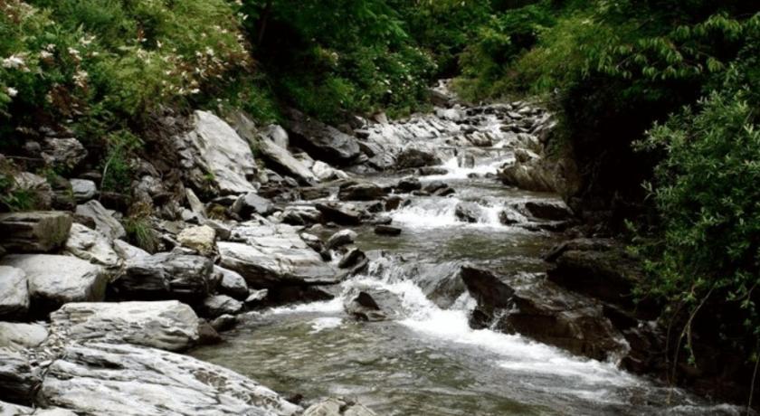 平昌 Small Village Pension 2星级 民宿 泳池