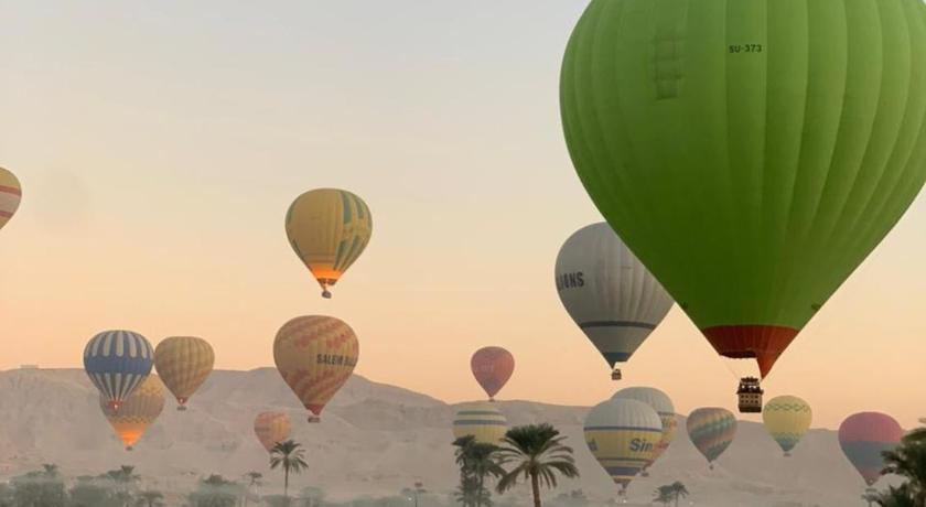 ルクソール Egypt Villa Garden 5つ星 シングルルーム 客室