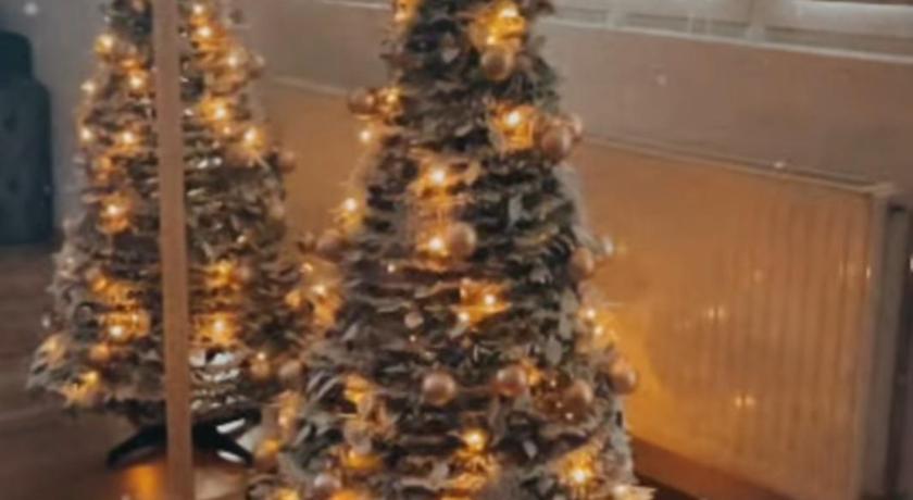 베오그라드 Leyla Lux 3성급 싱글룸 레스토랑