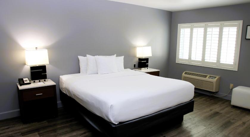Image of Large One Room Suite/Disability Access - Non Smoking 4