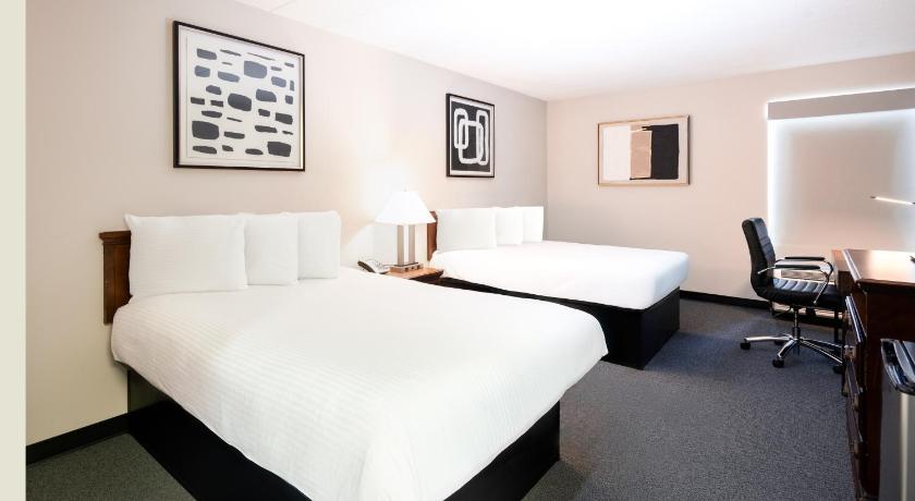 베슬리헴 (PA) The View Inn & Suites Bethlehem / Allentown / Lehigh Airport 2성급 숙소 수영장