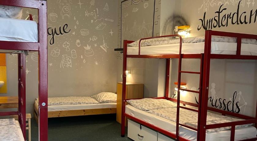 Image of Bunk Bed in Mixed Dormitory Room 7
