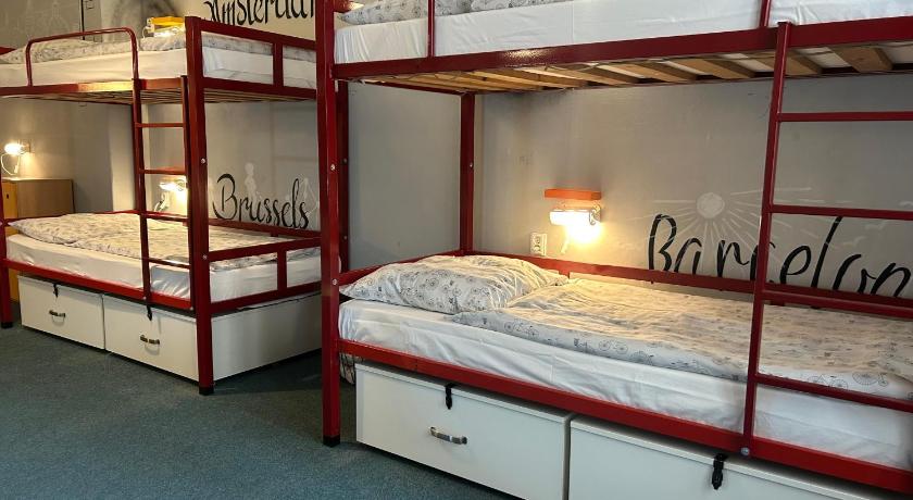 Image of Bunk Bed in Mixed Dormitory Room 17