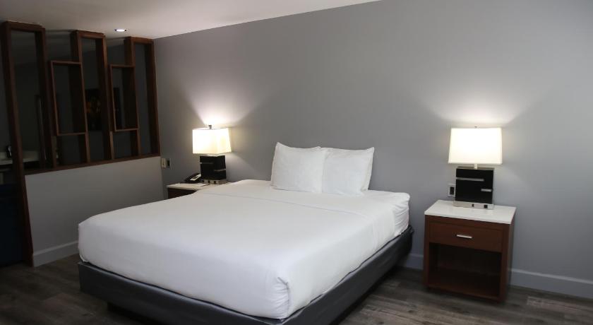 Image of Large One Room Suite/Disability Access - Non Smoking 5