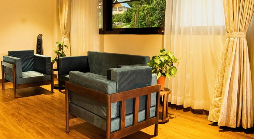 Cilantro Unwind Delisso Abode Pelling - image 13