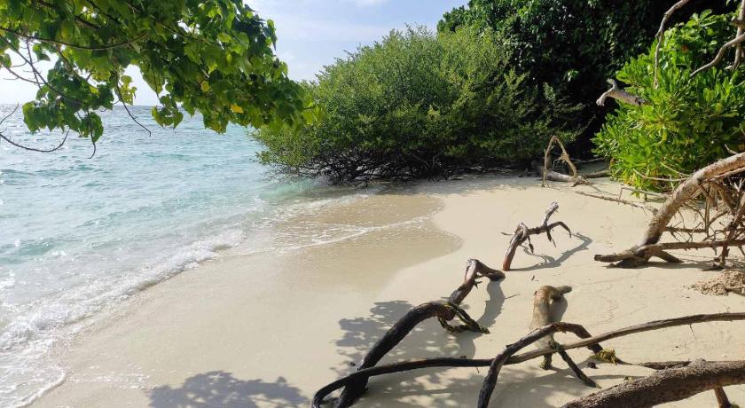 モルディブ島 SWIMS Maldives 3つ星 宿泊施設 外観