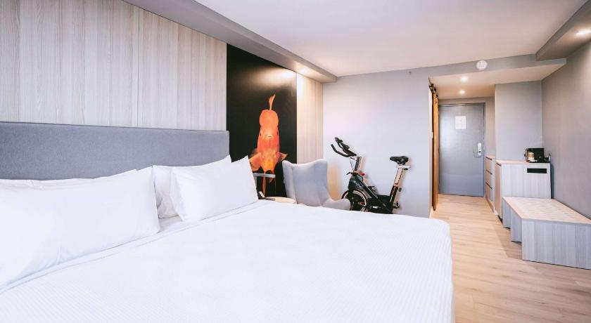 Obrázek: 1 King Bed, Fitness Room 3