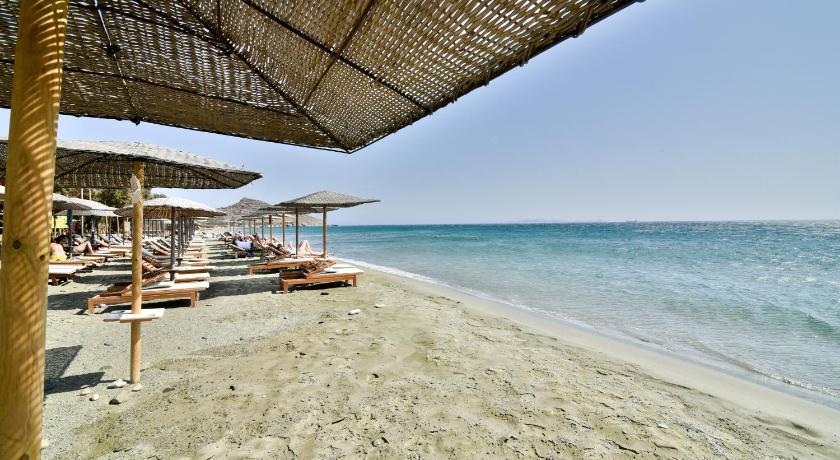 Golden Beach Studios & Suites photo