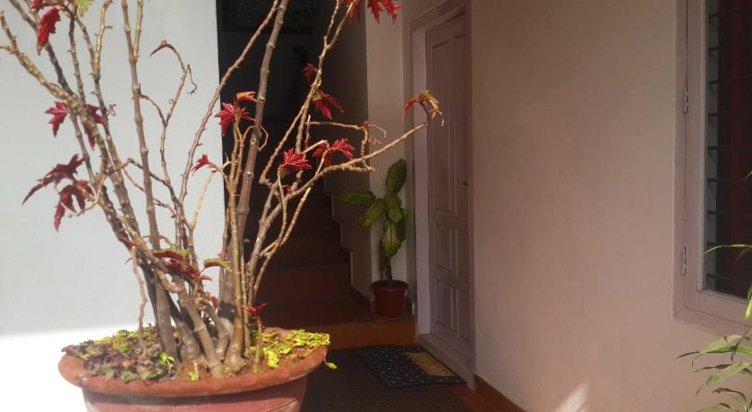 Agasthyamadam Homestay photo
