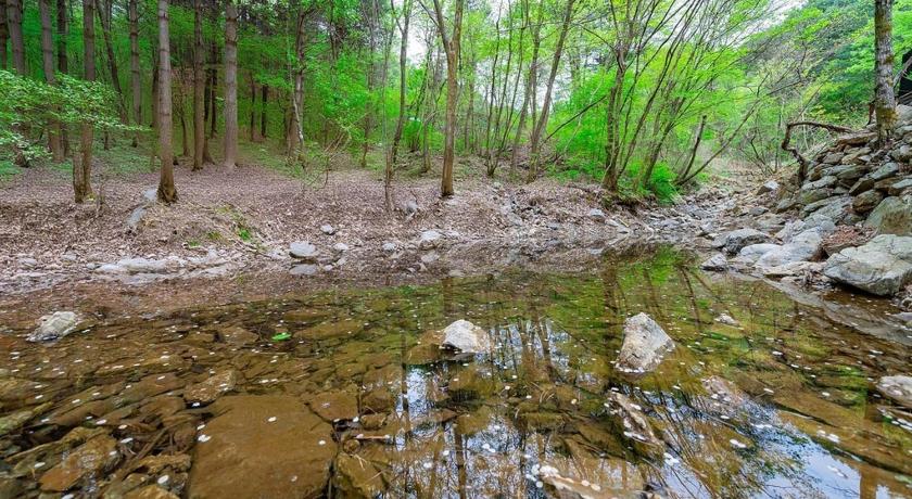 ヤンピョン Yangpyeong Sweet Tree Spa Pension 3つ星 ゲストハウス 施設