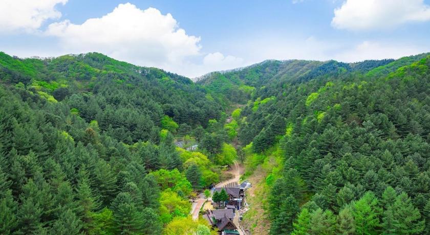 ヤンピョン Yangpyeong Sweet Tree Spa Pension 3つ星 ゲストハウス プール