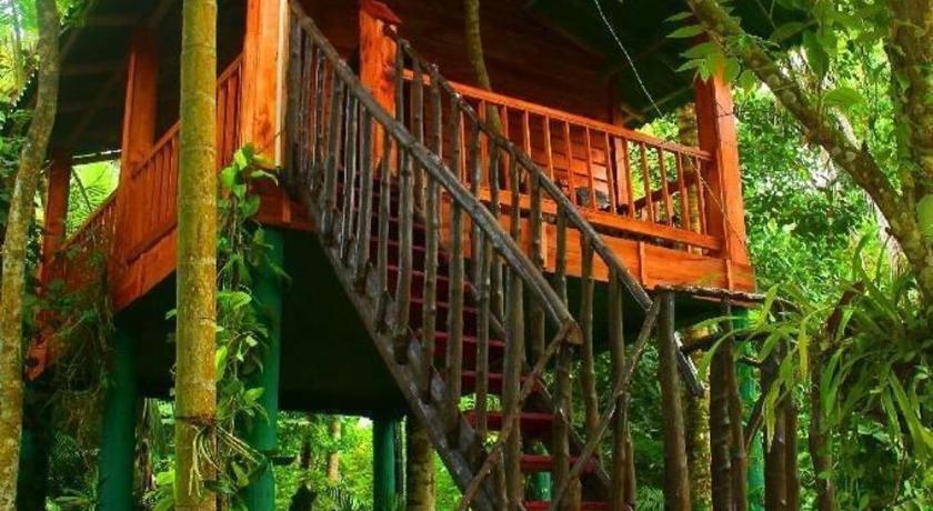 The Hidden Treehouse