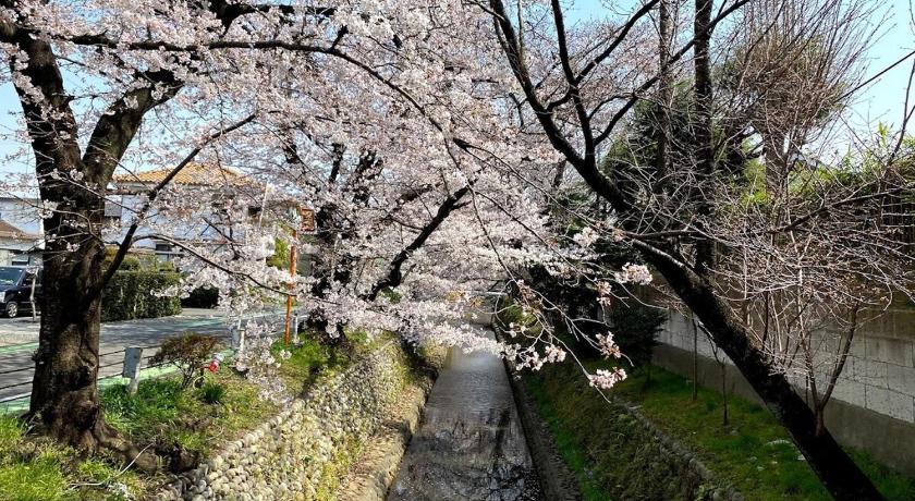도코로자와 桜並木と航空公園の近くにある閑静なお部屋 最大5名 t10 3성급 숙소 객실