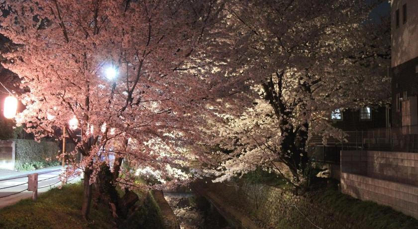 도코로자와 桜並木と航空公園の近くにある閑静なお部屋 最大5名 t10 3성급 숙소 로비