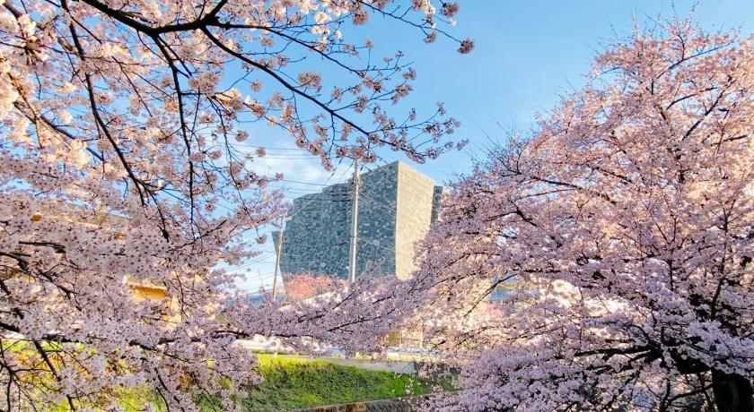 도코로자와 桜並木と航空公園の近くにある閑静なお部屋 最大5名 t10 3성급 숙소 레스토랑