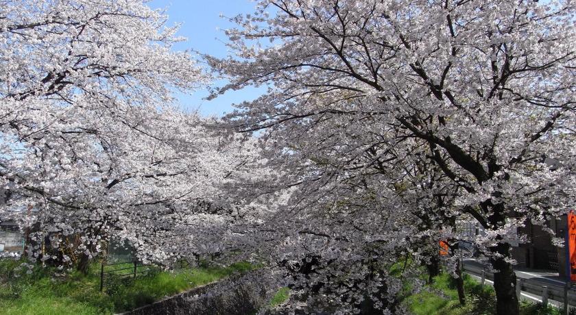 도코로자와 桜並木と航空公園の近くにある閑静なお部屋 最大5名 t10 3성급 숙소 객실