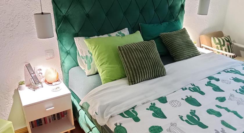 Green Cactus Rooms - unique and cozy house