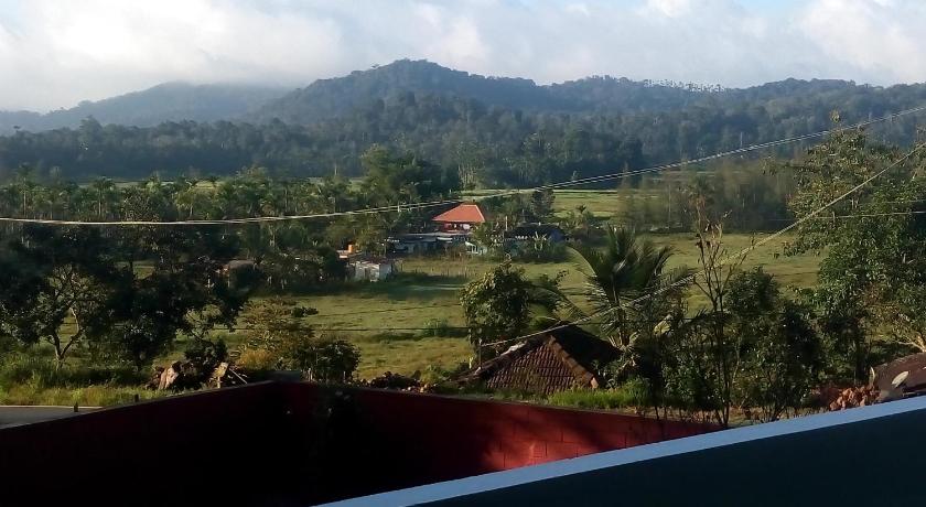 Green Villa photo