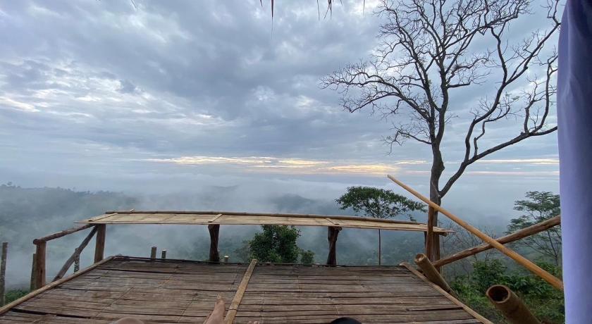 メースアイ／ウィアンパパオ กาแฟอาลูลูดอยล้าน 4つ星 ゲストハウス レストラン