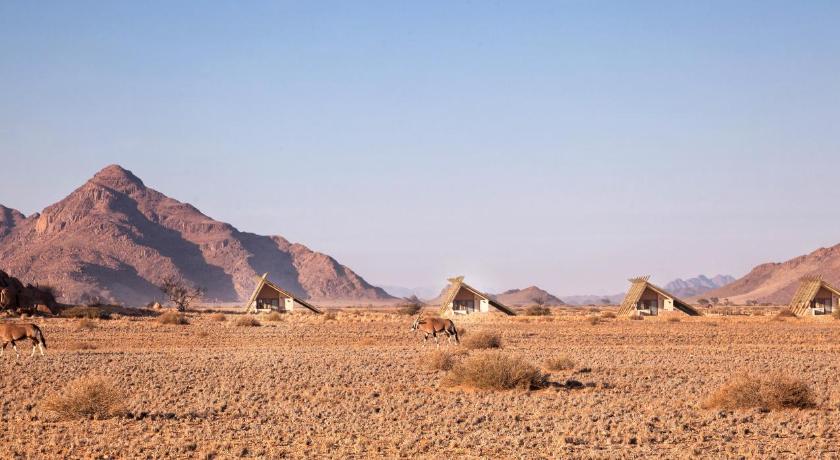 Desert Quiver Camp photo
