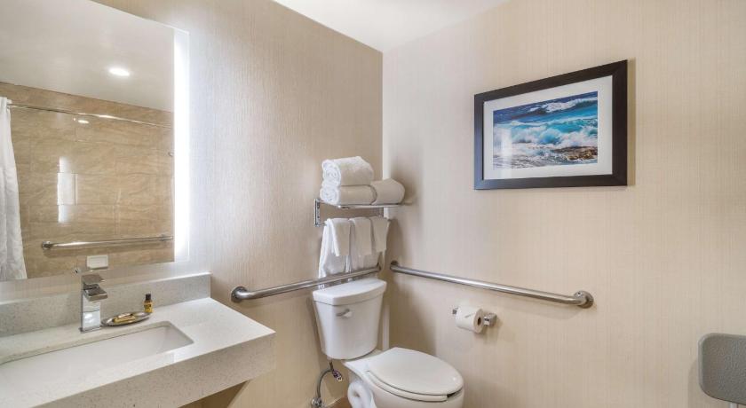 Accessibility - 1 King Bed, Roll-in Shower, Nonsmoking attēls 2