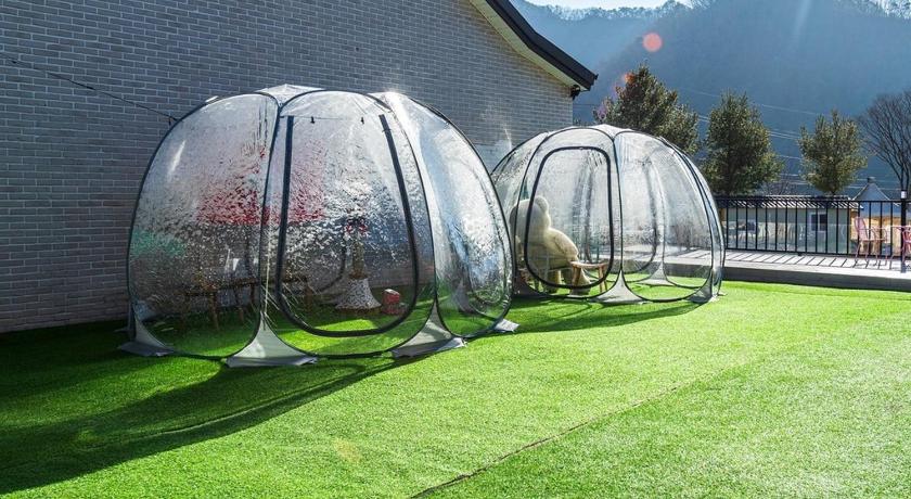 江原道 Chuncheon Dog pension Walk the Flower Path 3星级 民宿 外观