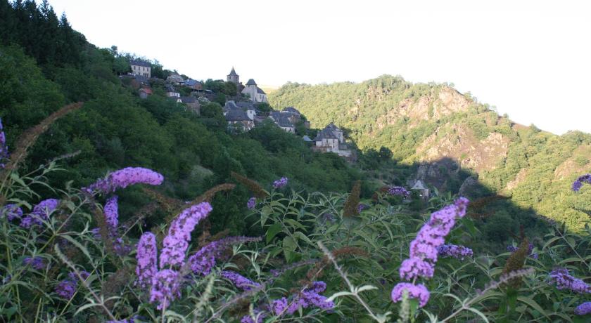Camping Moulin De Chaules photo