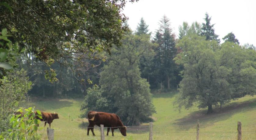Camping Moulin De Chaules photo