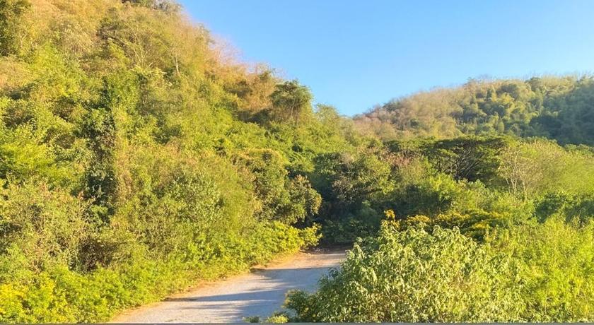 Forest Khaoyai by Licega - image 8