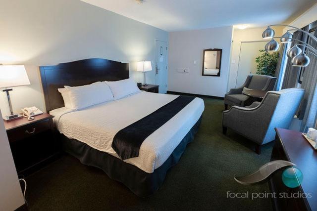 Image of King Room 1