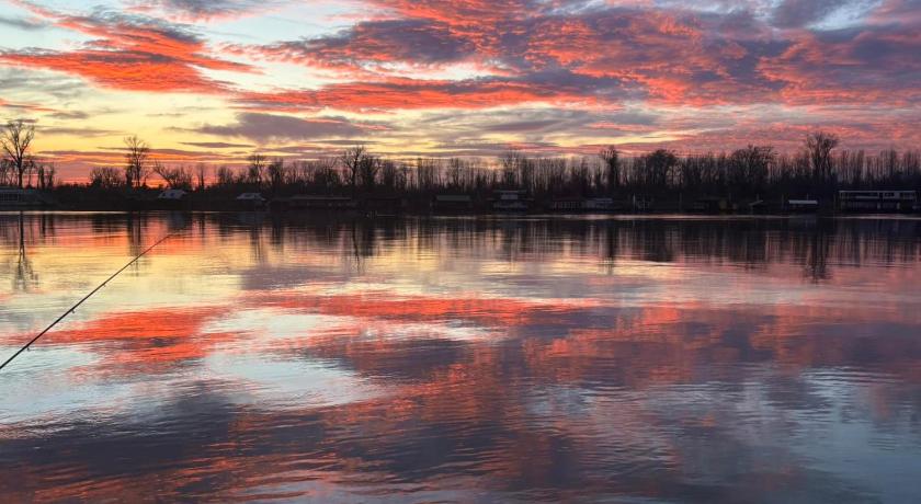 貝爾格勒 Splav na reci Savi 3星级 单人房 设施