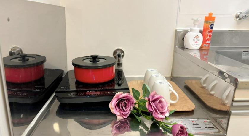 도쿄 / 동경 Japan House Ikebukuro Honcho 3성급 숙소 수영장