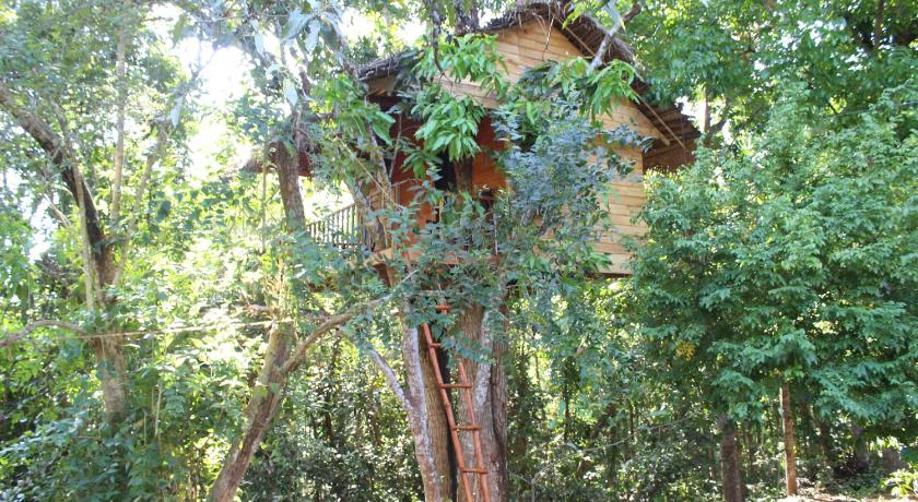 Tree House-Midigama — Hotel in Unawatuna
