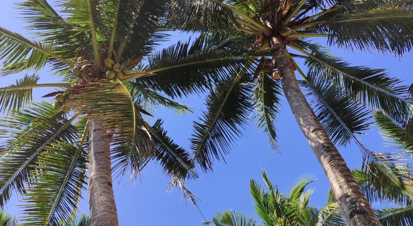 Boracay Castle Rock Apartelle 3-Star Hotel restaurant