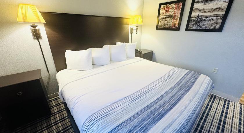Image of 1 King Bed Deluxe Suite Non-Smoking 3