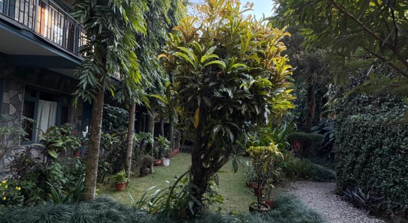 Hotel Monal - image 9