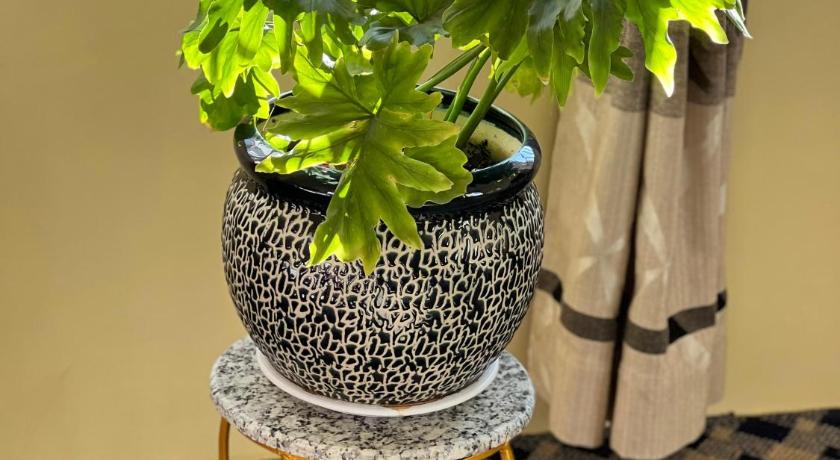 golfutar suits — Kathmandu (5)