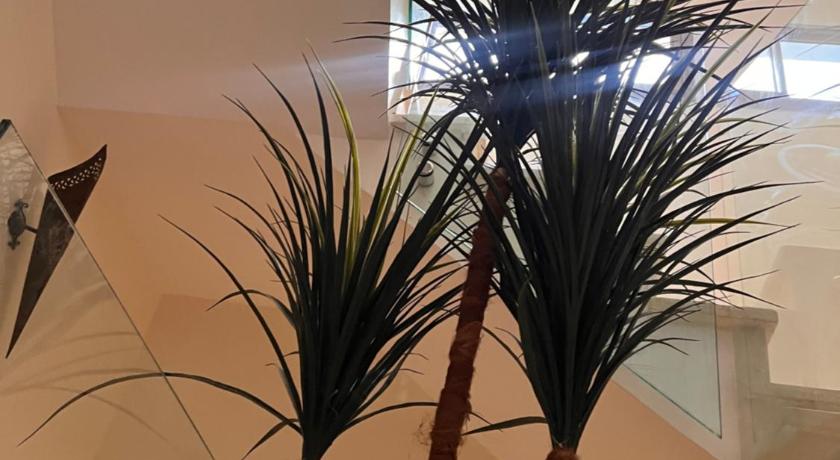 Taghazout Maison de paon - surfstay - relaxstay 3-Star Hotel amenity