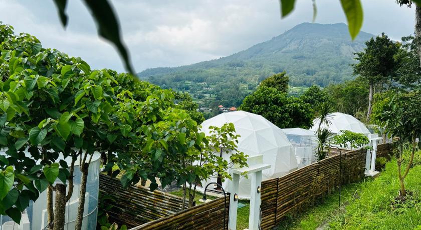 발리 De'Ra Hills Camp Kintamani 2성급 싱글룸 부대시설