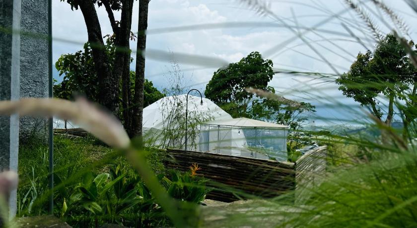 발리 De'Ra Hills Camp Kintamani 2성급 싱글룸 전망