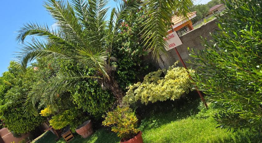 The Wild Thing Guesthouse