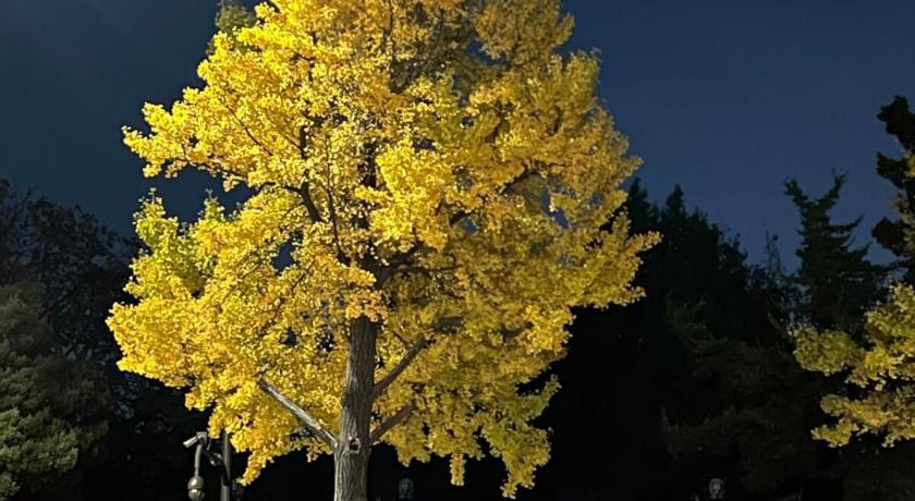 首尔 Calming Place Seoul #3 2星级 单人房 泳池