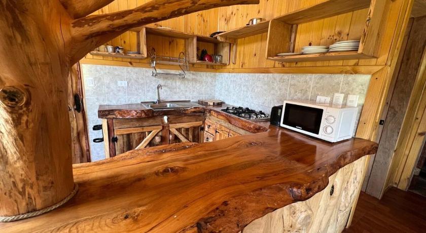 Putre Cabana Ugarit Chabranco Maihue Futrono 4-Star Single Room lobby